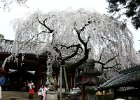 2008-04-02- NARA-P1010706